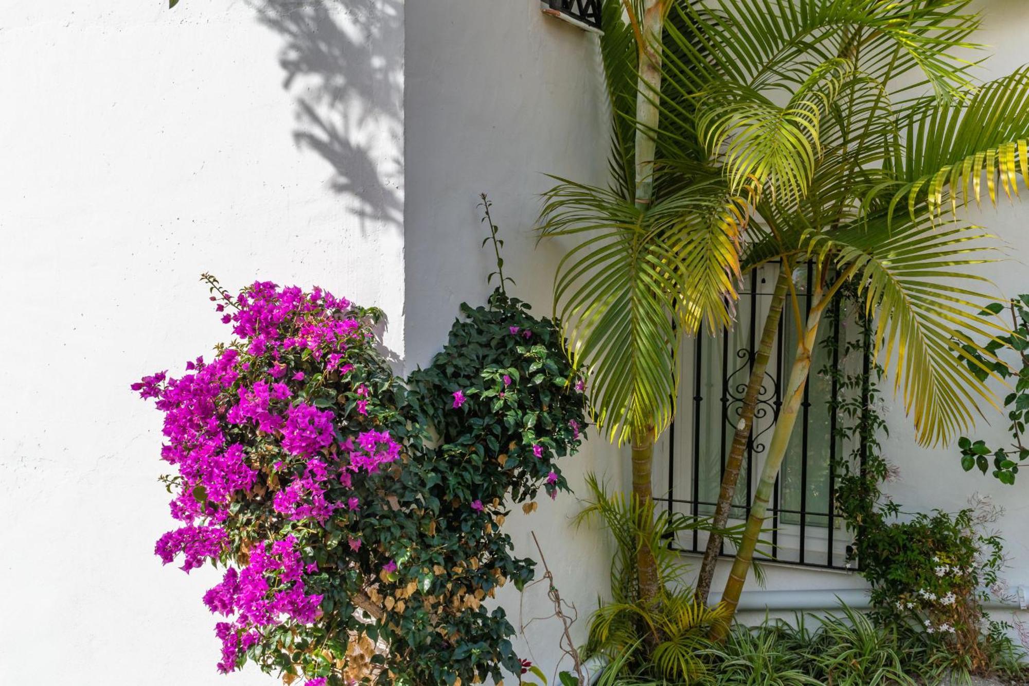 Tetuan 15 - Oasis Nerja