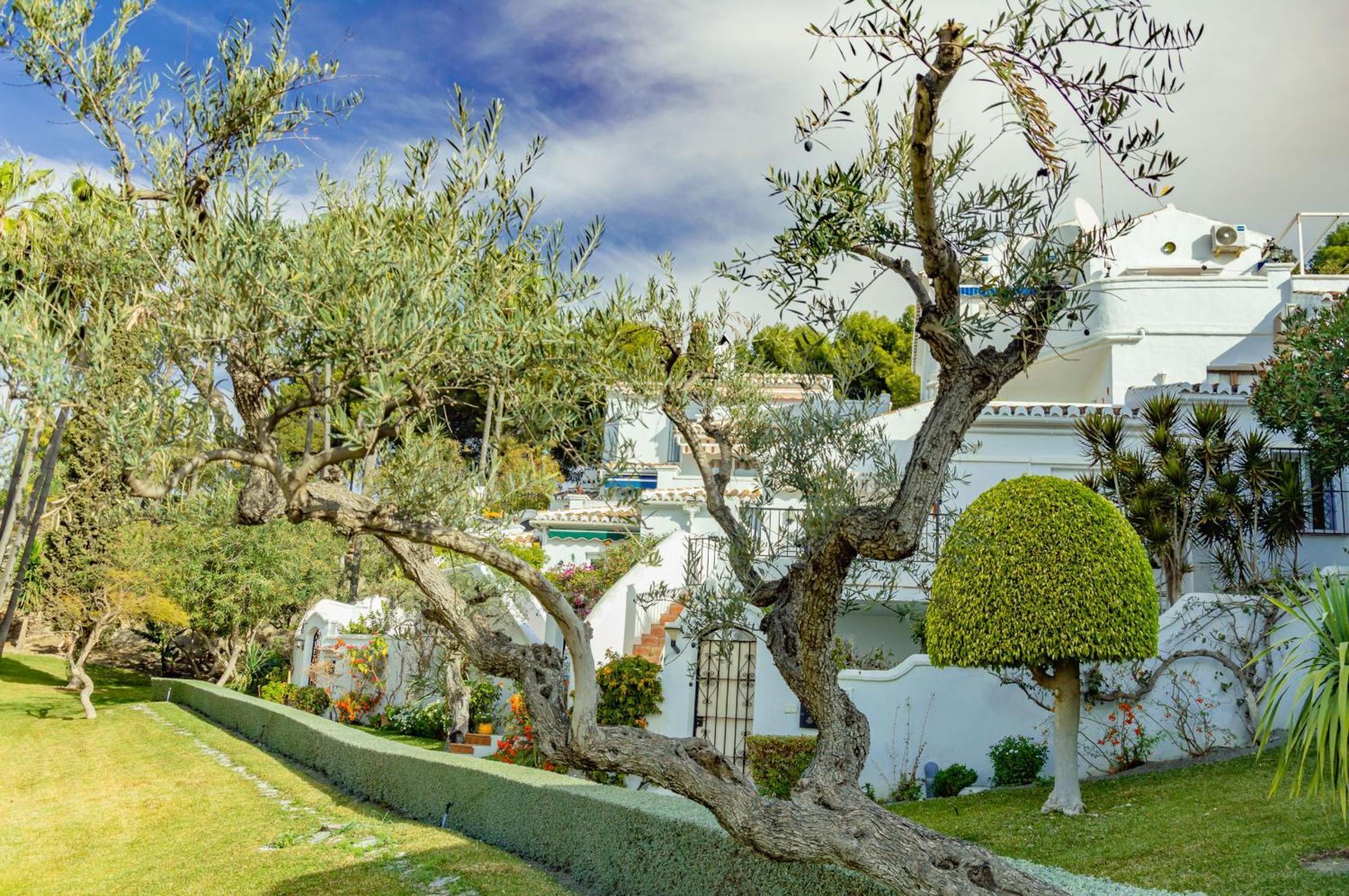 Tetuan 15 - Oasis Nerja